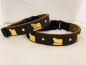 Preview: Appenzeller Halsband braun/gold